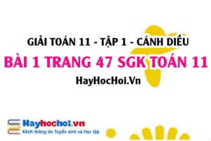 Giải bài 1 trang 47 Toán 11 tập 1 SGK Cánh Diều